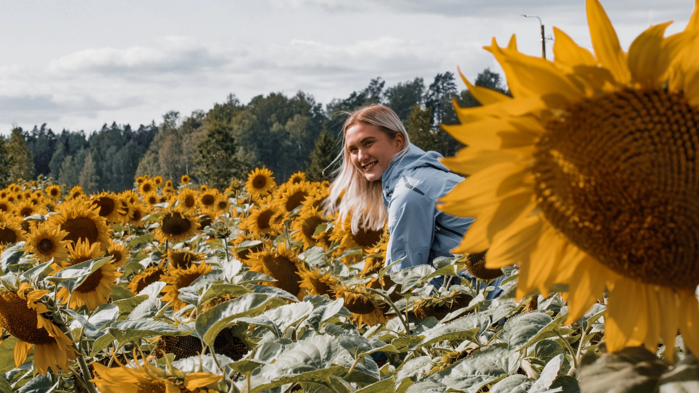 Nainen auringonkukkapellolla Kirkkonummella