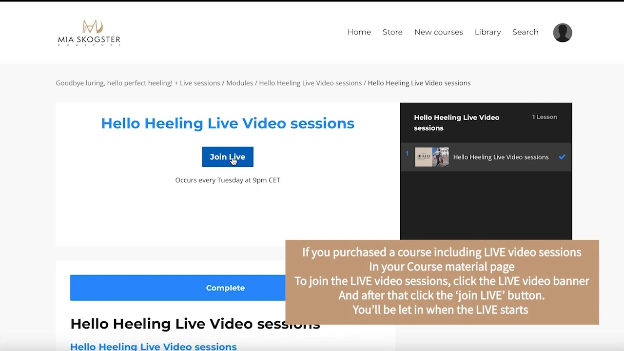 Heeling-kurssin liveopetuksen näkymä